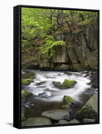 Bode in the spring, Harz National Park, Saxony-Anhalt, Germany-Michael Jaeschke-Framed Stretched Canvas