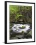 Bode in the spring, Harz National Park, Saxony-Anhalt, Germany-Michael Jaeschke-Framed Photographic Print