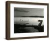 Bodega Bay, California, 1956-Brett Weston-Framed Photographic Print