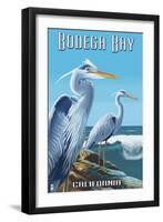 Bodega Bay, California - Blue Heron-Lantern Press-Framed Art Print