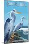 Bodega Bay, California - Blue Heron-Lantern Press-Mounted Art Print