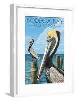 Bodega Bay, California - Brown Pellican-Lantern Press-Framed Art Print