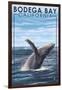 Bodega Bay, California - Humpback Whale-Lantern Press-Framed Art Print