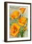 Bodega Bay, California - Poppy-Lantern Press-Framed Art Print