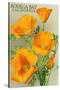 Bodega Bay, California - Poppy-Lantern Press-Stretched Canvas