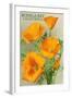 Bodega Bay, California - Poppy-Lantern Press-Framed Art Print