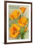 Bodega Bay, California - Poppy-Lantern Press-Framed Art Print