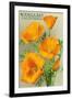 Bodega Bay, California - Poppy-Lantern Press-Framed Art Print