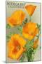 Bodega Bay, California - Poppy-Lantern Press-Mounted Art Print