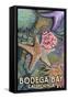 Bodega Bay, California - Tidepool-Lantern Press-Framed Stretched Canvas