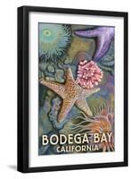 Bodega Bay, California - Tidepool-Lantern Press-Framed Art Print