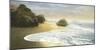 Bodega Beach 1-Diego Ceja-Mounted Giclee Print