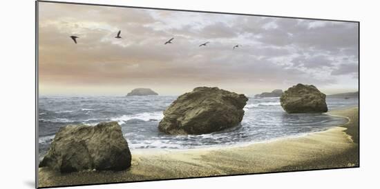 Bodega Beach 2-Diego Ceja-Mounted Giclee Print