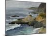 Bodega Head-Barbara Chenault-Mounted Art Print