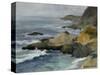 Bodega Head-Barbara Chenault-Stretched Canvas