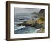 Bodega Head-Barbara Chenault-Framed Art Print