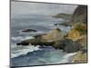 Bodega Head-Barbara Chenault-Mounted Art Print