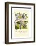 Bodelein Library Exterior - Dave Thompson Contemporary Travel Print-Dave Thompson-Framed Giclee Print