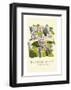 Bodelein Library Exterior - Dave Thompson Contemporary Travel Print-Dave Thompson-Framed Giclee Print