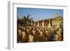 Bodhi Tataung, Monywa, Sagaing Division, Myanmar (Burma), Asia-Tuul-Framed Photographic Print