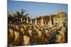 Bodhi Tataung, Monywa, Sagaing Division, Myanmar (Burma), Asia-Tuul-Mounted Photographic Print