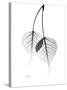 Bodhi Tree Leaves in Black and White-Albert Koetsier-Stretched Canvas