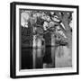 Bodiam Castle, East Sussex, 1966-Greaves-Framed Photographic Print