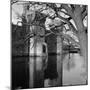 Bodiam Castle, East Sussex, 1966-Greaves-Mounted Photographic Print