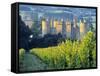 Bodiam Castle, East Sussex, England-Peter Adams-Framed Stretched Canvas