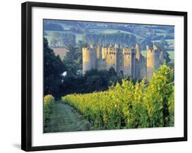 Bodiam Castle, East Sussex, England-Peter Adams-Framed Photographic Print