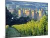 Bodiam Castle, East Sussex, England-Peter Adams-Mounted Photographic Print