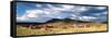 Bodie California-Douglas Taylor-Framed Stretched Canvas