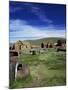 Bodie, Ghost Town, California, USA-Tony Gervis-Mounted Photographic Print