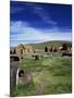 Bodie, Ghost Town, California, USA-Tony Gervis-Mounted Photographic Print