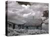 Bodie Is a Ghost Town-Carol Highsmith-Stretched Canvas