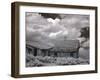 Bodie Is a Ghost Town-Carol Highsmith-Framed Photo