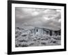 Bodie Is a Ghost Town-Carol Highsmith-Framed Photo