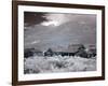 Bodie Is a Ghost Town-Carol Highsmith-Framed Photo