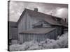 Bodie Is a Ghost Town-Carol Highsmith-Stretched Canvas