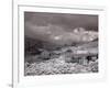 Bodie Is a Ghost Town-Carol Highsmith-Framed Photo