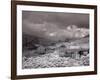 Bodie Is a Ghost Town-Carol Highsmith-Framed Photo