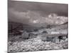 Bodie Is a Ghost Town-Carol Highsmith-Mounted Photo