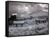 Bodie Is a Ghost Town-Carol Highsmith-Framed Stretched Canvas