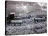 Bodie Is a Ghost Town-Carol Highsmith-Stretched Canvas