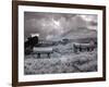 Bodie Is a Ghost Town-Carol Highsmith-Framed Photo