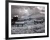 Bodie Is a Ghost Town-Carol Highsmith-Framed Photo