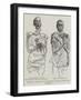 Bodies of Ancient King of Egypt, Unrolled from the Mummies-null-Framed Giclee Print