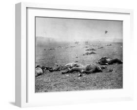 Bodies of Soldiers Strewn About Field Following Bloody Battle of Gettysburg During the Civil War-Timothy O'Sullivan-Framed Photographic Print