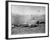 Bodies of Soldiers Strewn About Field Following Bloody Battle of Gettysburg During the Civil War-Timothy O'Sullivan-Framed Photographic Print