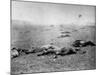 Bodies of Soldiers Strewn About Field Following Bloody Battle of Gettysburg During the Civil War-Timothy O'Sullivan-Mounted Photographic Print